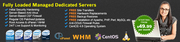 providing cheap dedicated servers hosting relible servere hosting 